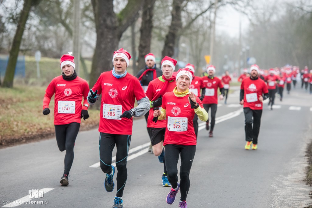 Torunianie na trasie półmaratonu
