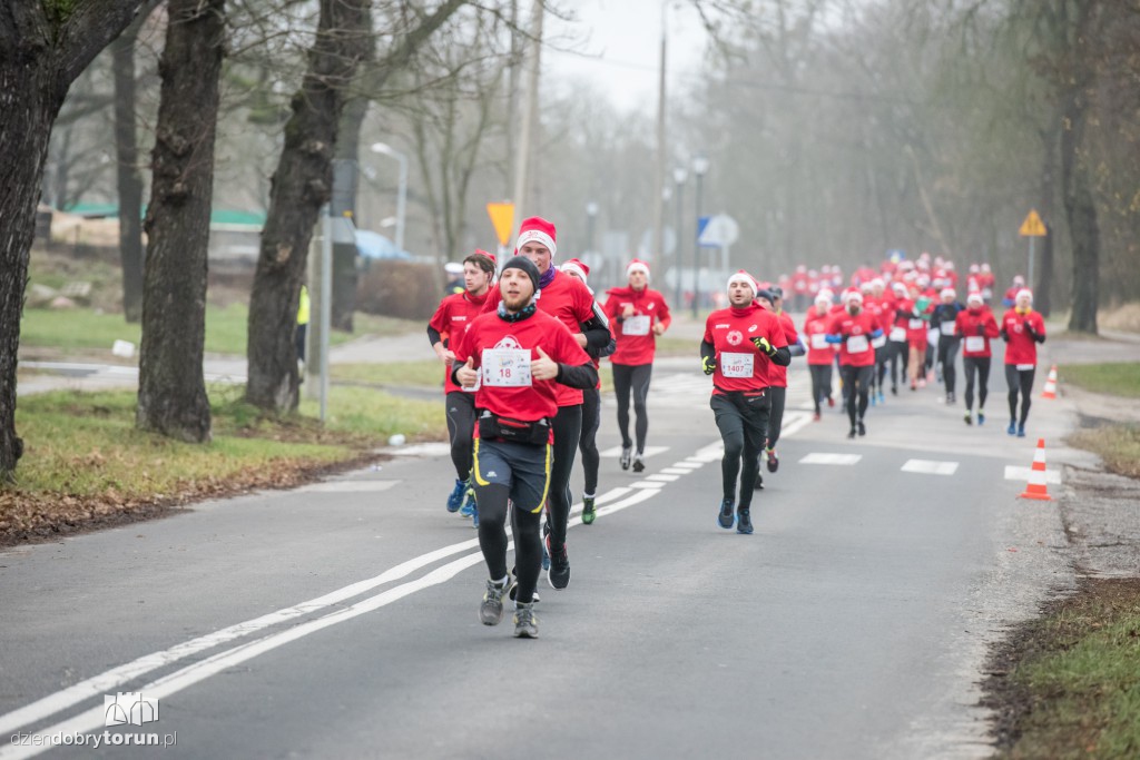 Torunianie na trasie półmaratonu