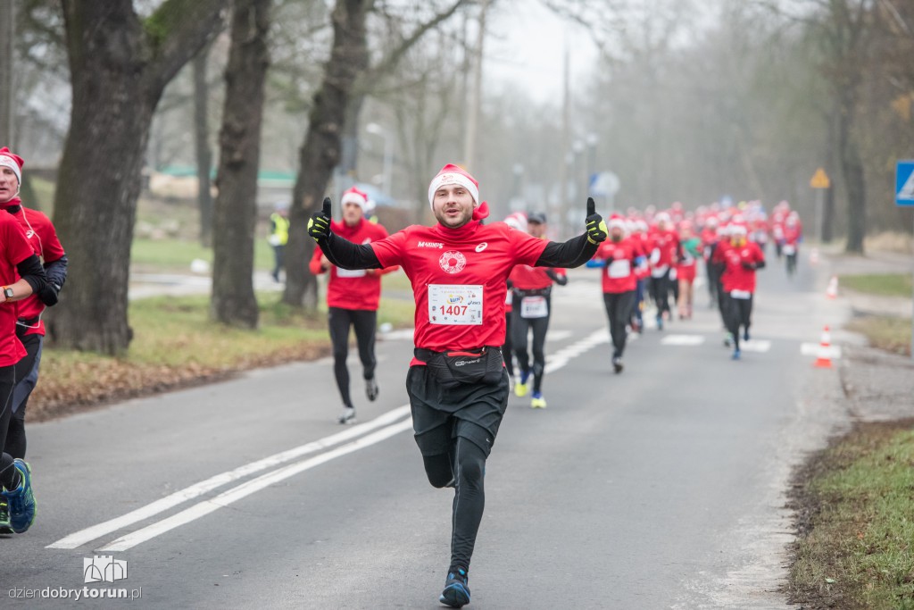 Torunianie na trasie półmaratonu