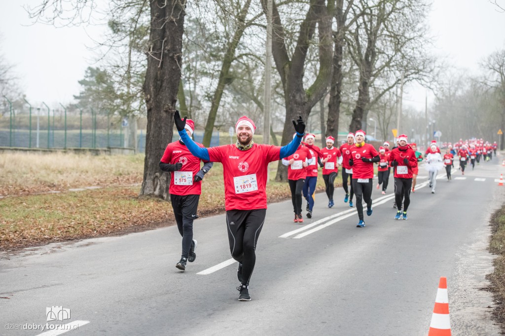 Torunianie na trasie półmaratonu