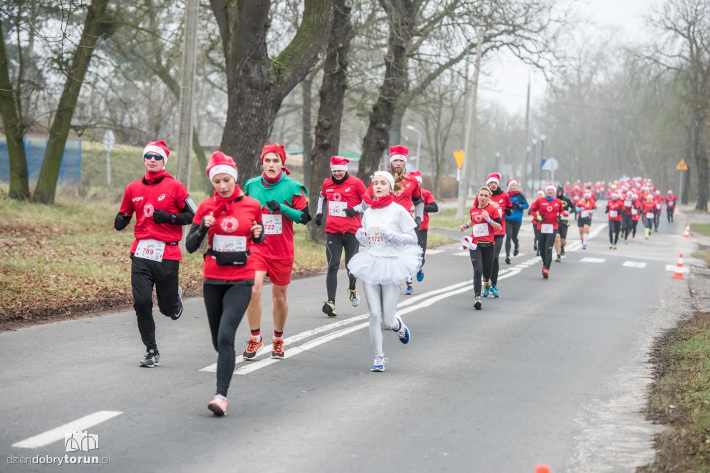 Torunianie na trasie półmaratonu