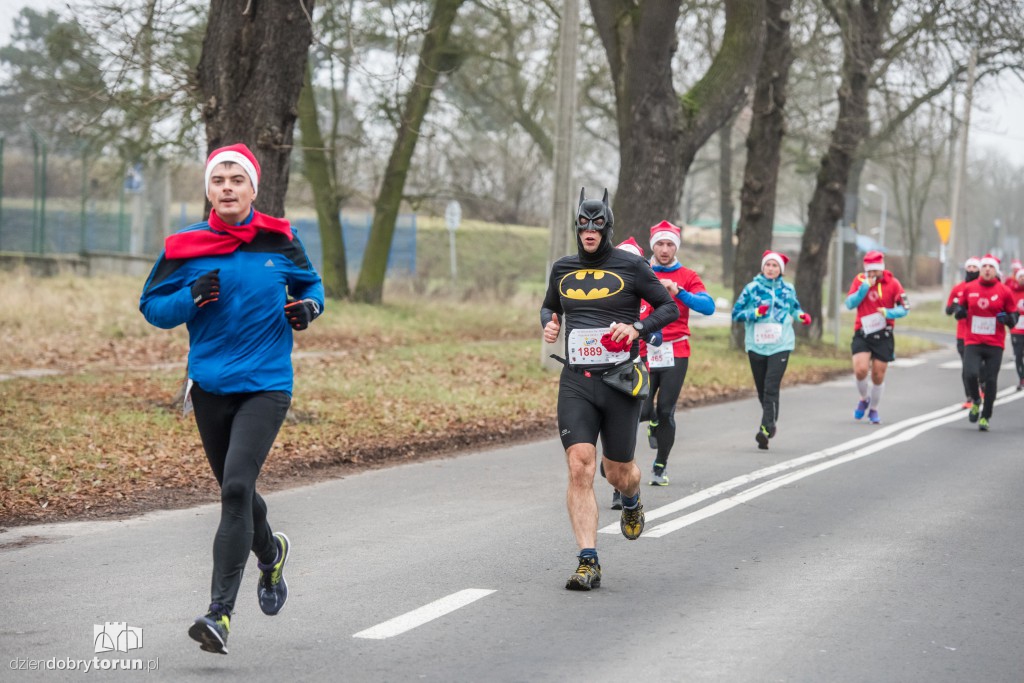 Torunianie na trasie półmaratonu