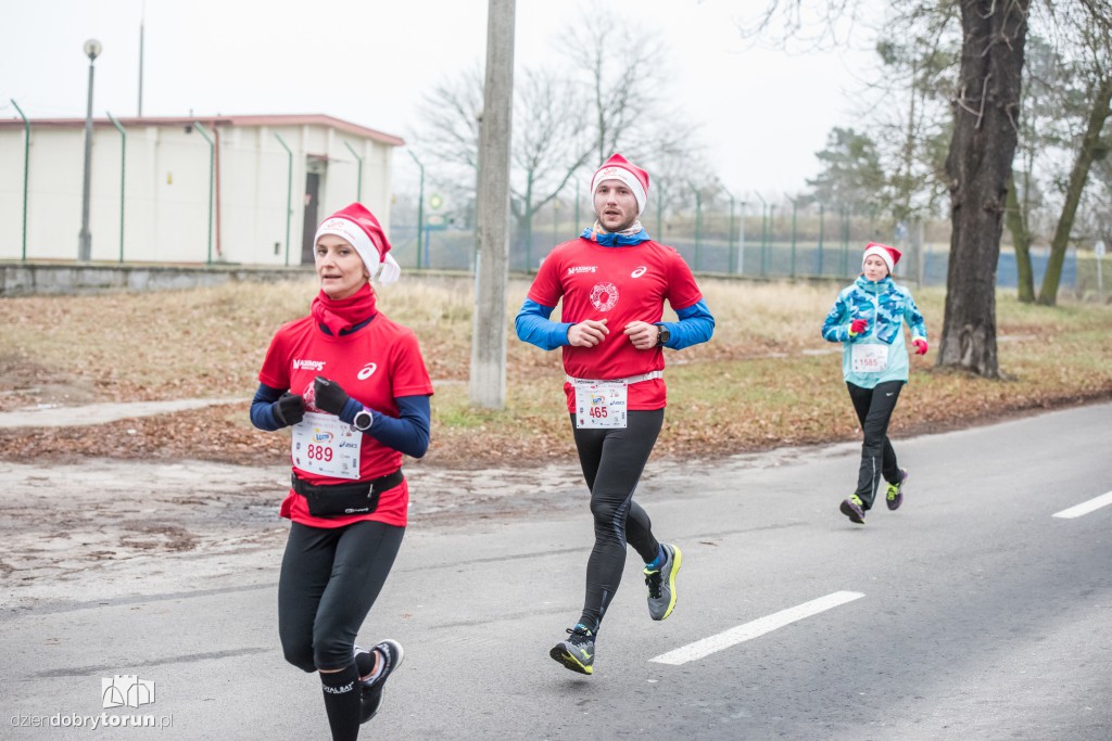 Torunianie na trasie półmaratonu