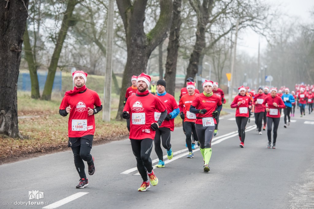Torunianie na trasie półmaratonu