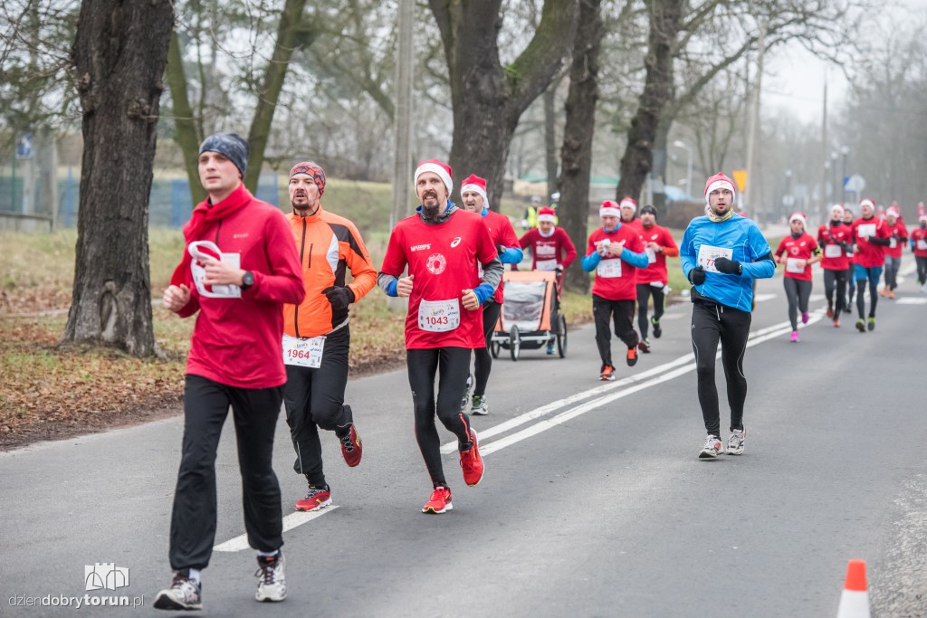 Torunianie na trasie półmaratonu