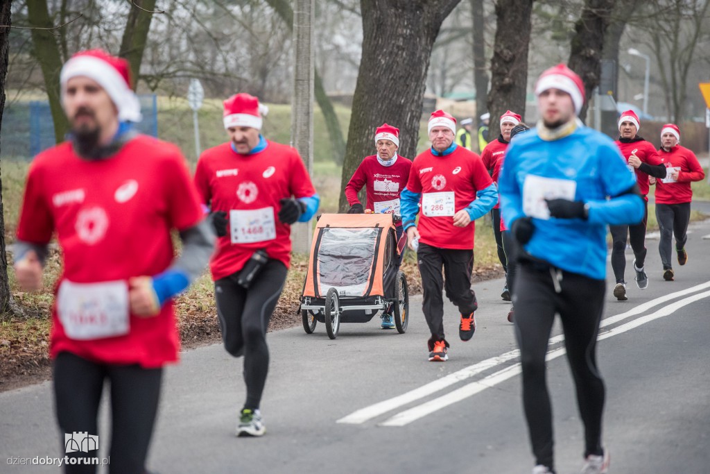 Torunianie na trasie półmaratonu