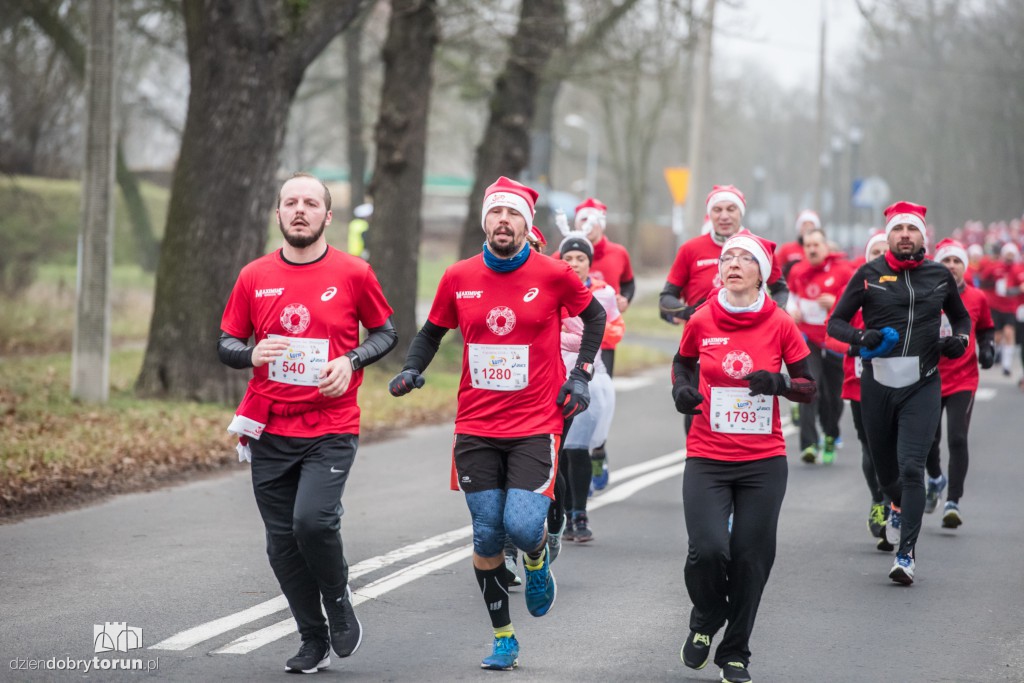 Torunianie na trasie półmaratonu