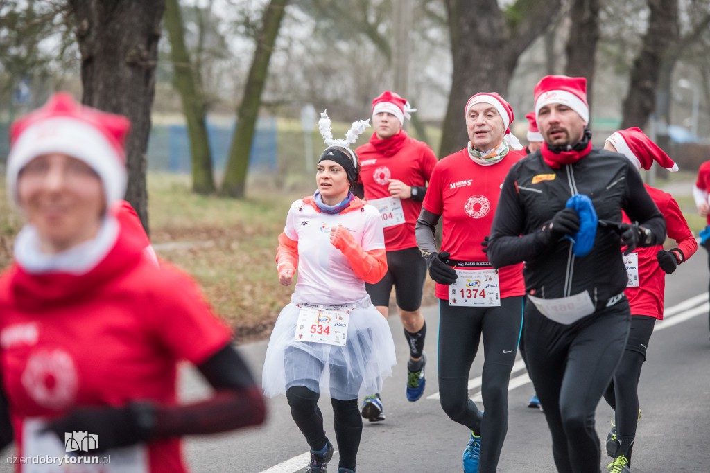 Torunianie na trasie półmaratonu
