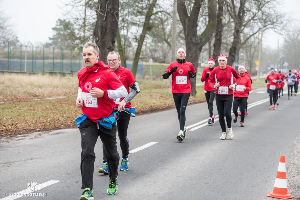 Torunianie na trasie półmaratonu