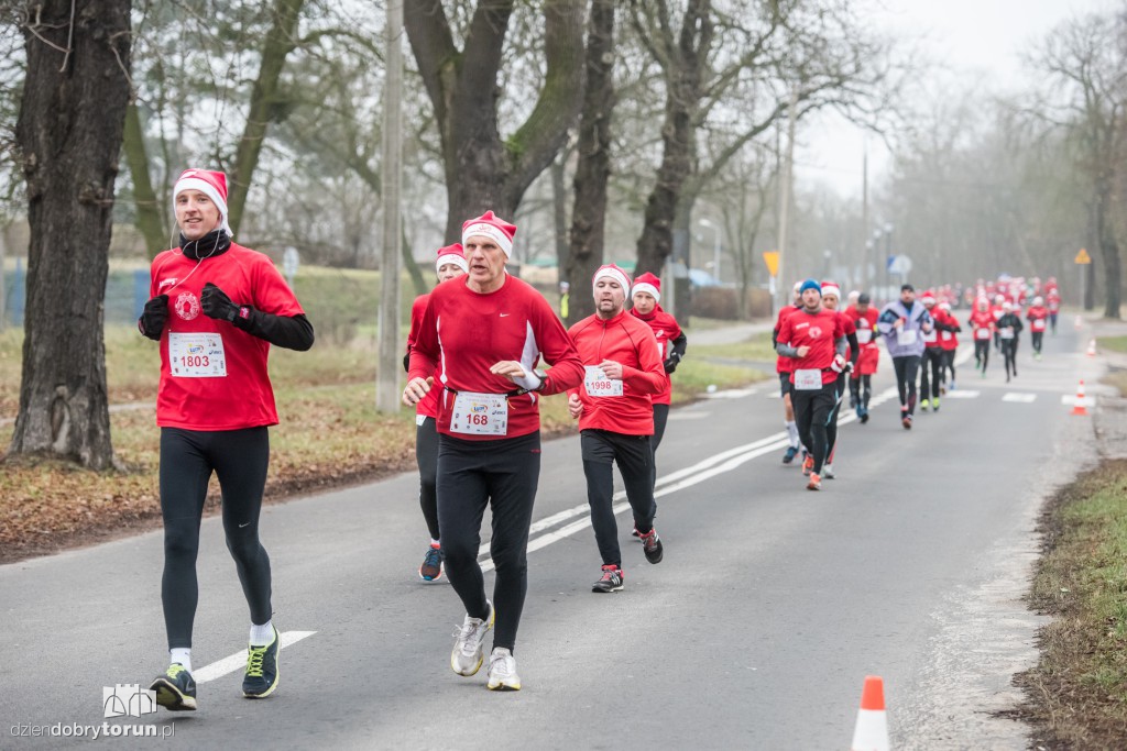 Torunianie na trasie półmaratonu