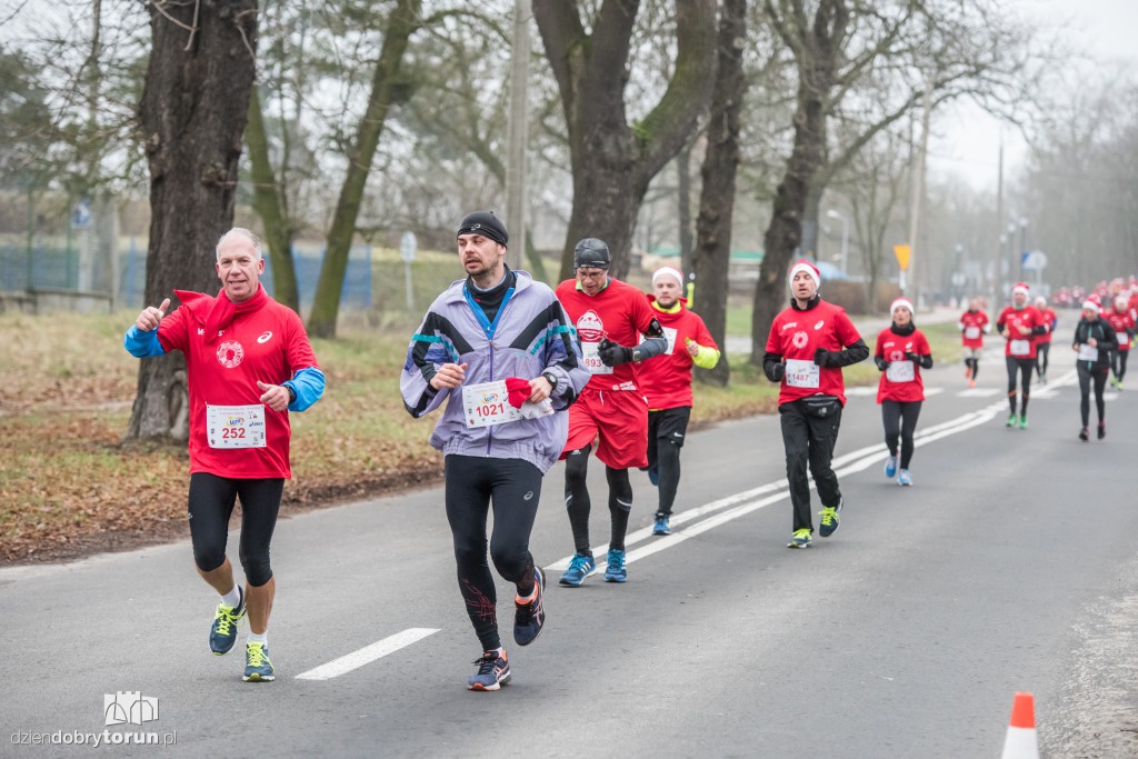 Torunianie na trasie półmaratonu