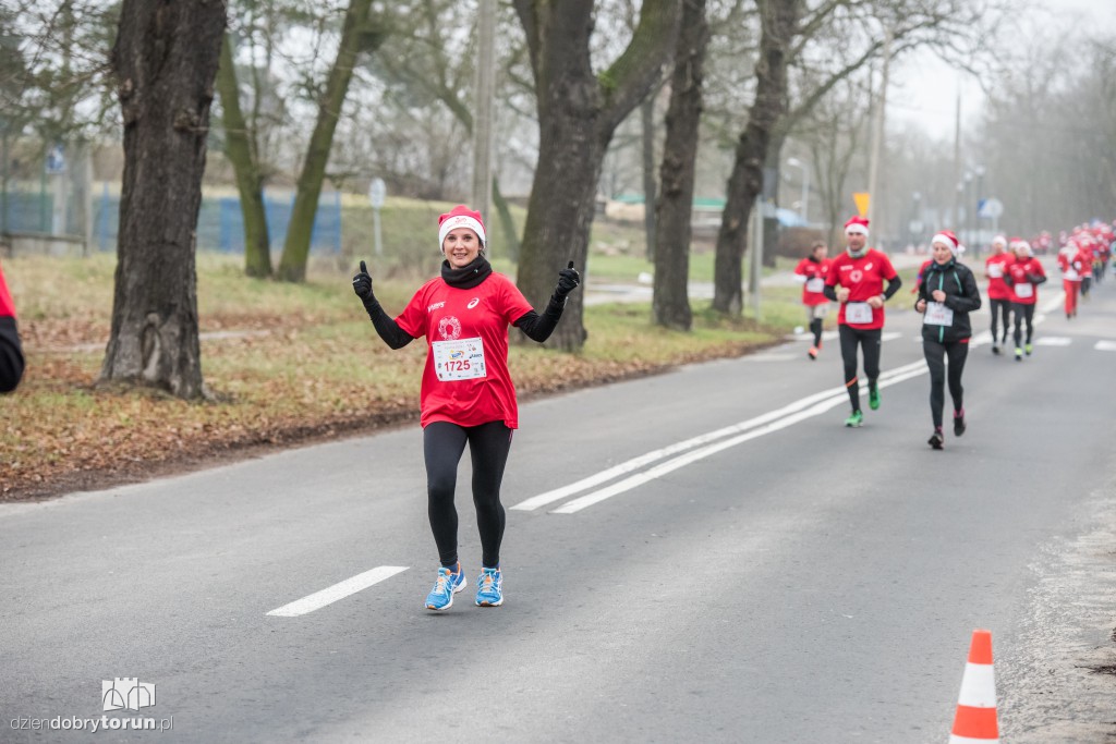 Torunianie na trasie półmaratonu