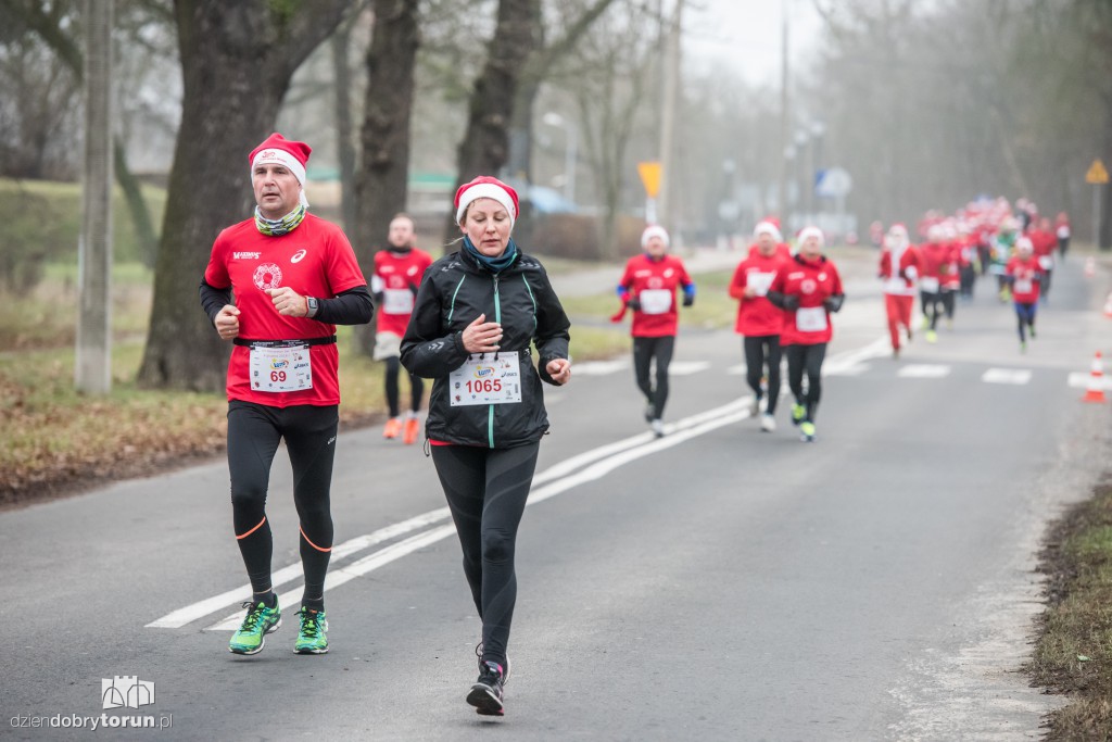 Torunianie na trasie półmaratonu