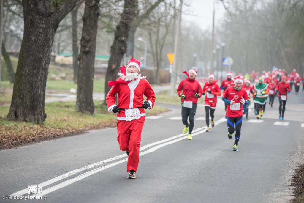 Torunianie na trasie półmaratonu