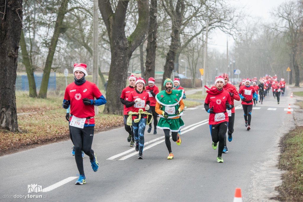 Torunianie na trasie półmaratonu