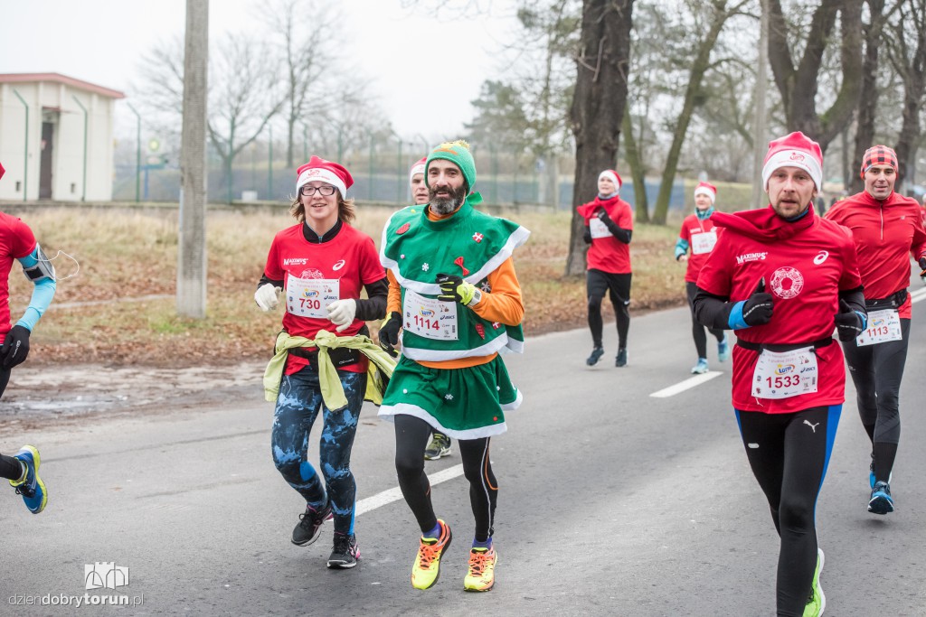 Torunianie na trasie półmaratonu