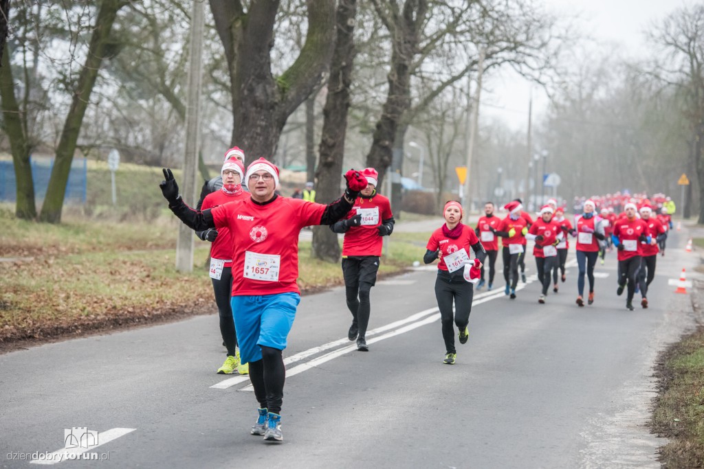 Torunianie na trasie półmaratonu