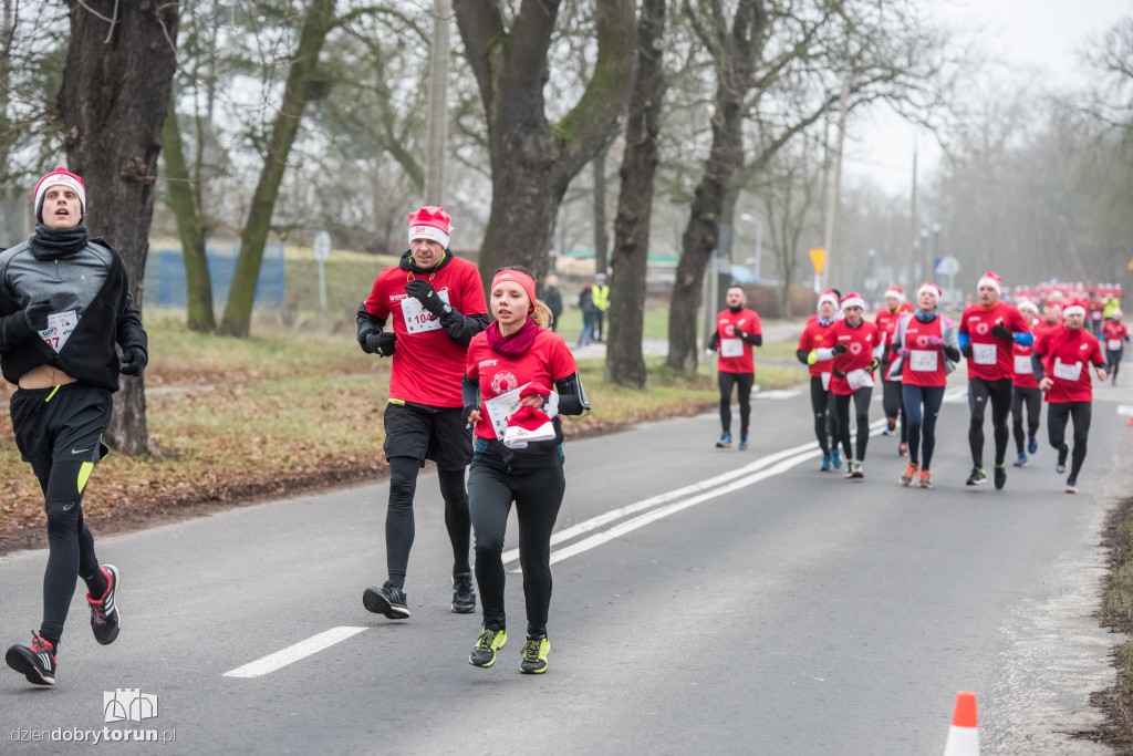 Torunianie na trasie półmaratonu