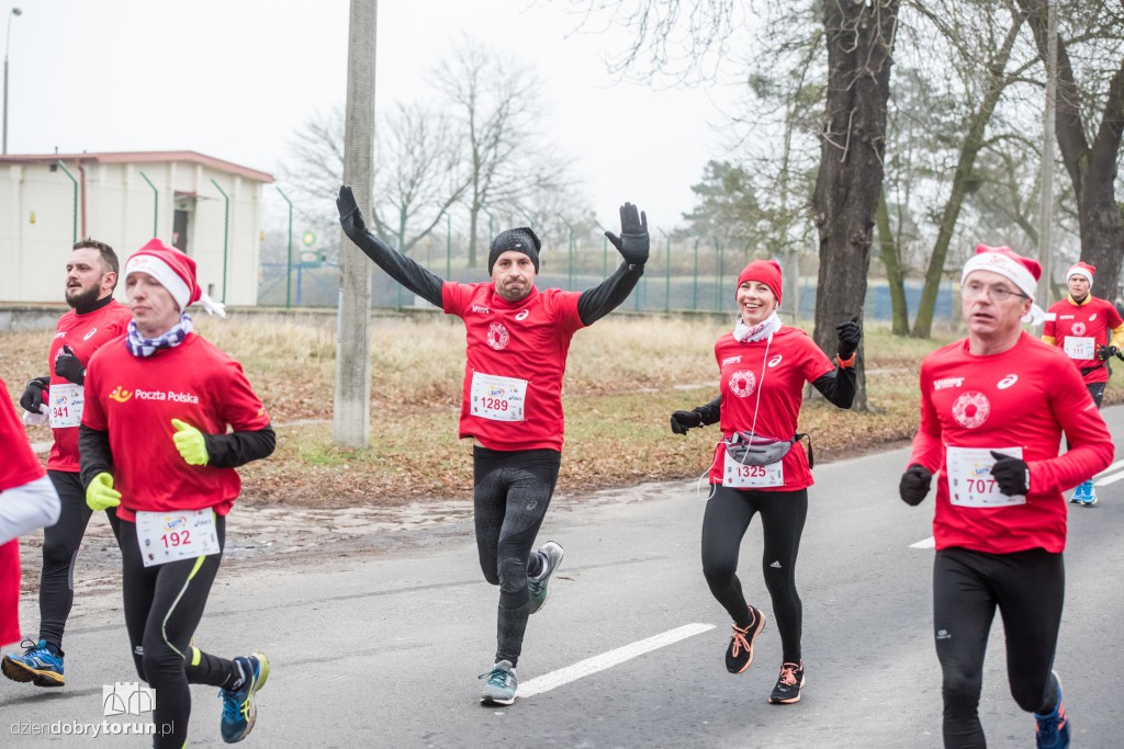 Torunianie na trasie półmaratonu