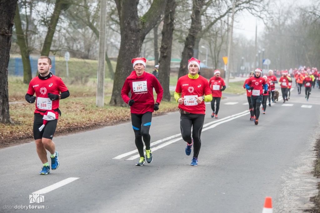 Torunianie na trasie półmaratonu