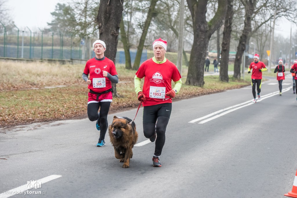 Torunianie na trasie półmaratonu