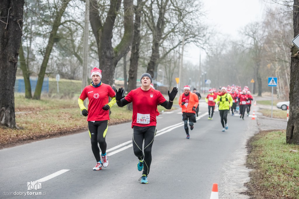 Torunianie na trasie półmaratonu