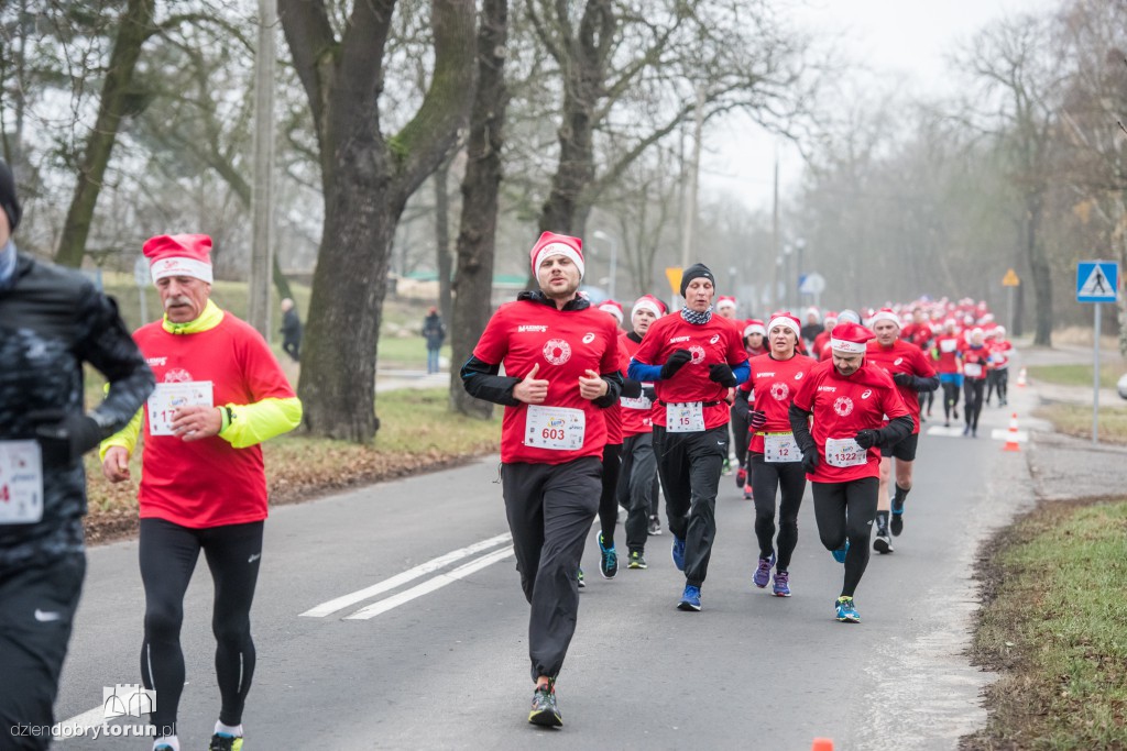 Torunianie na trasie półmaratonu