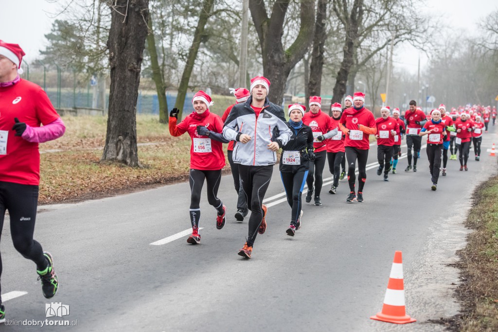 Torunianie na trasie półmaratonu