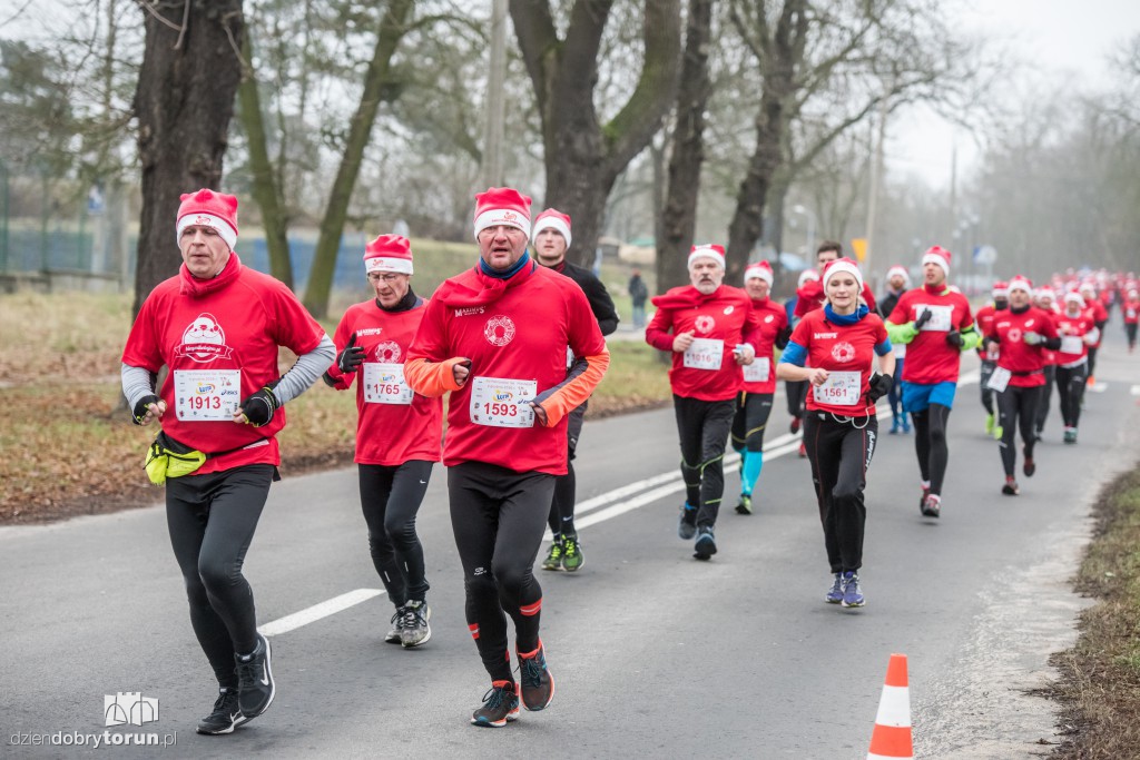 Torunianie na trasie półmaratonu