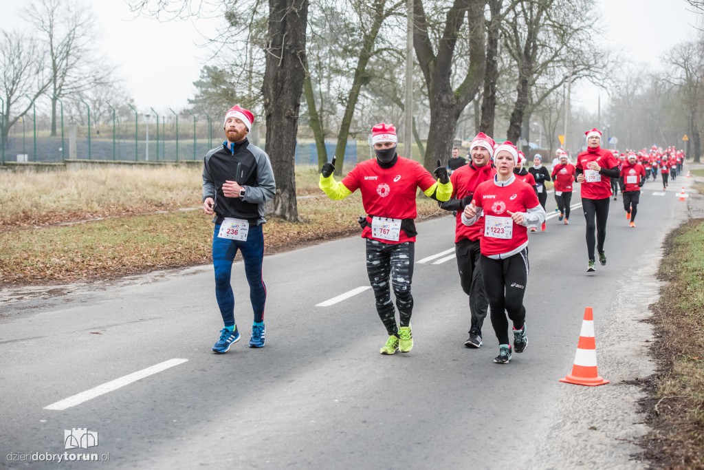 Torunianie na trasie półmaratonu
