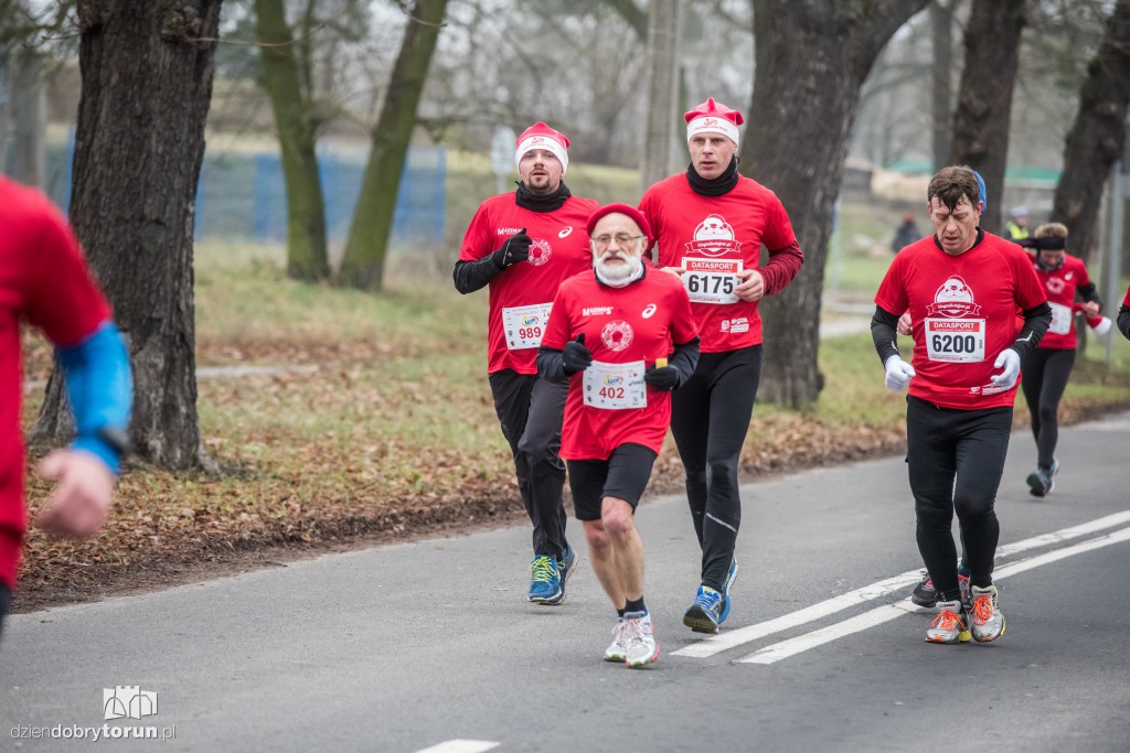 Torunianie na trasie półmaratonu