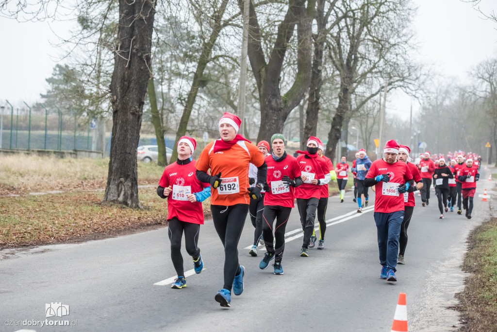 Torunianie na trasie półmaratonu