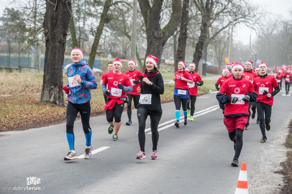 Torunianie na trasie półmaratonu