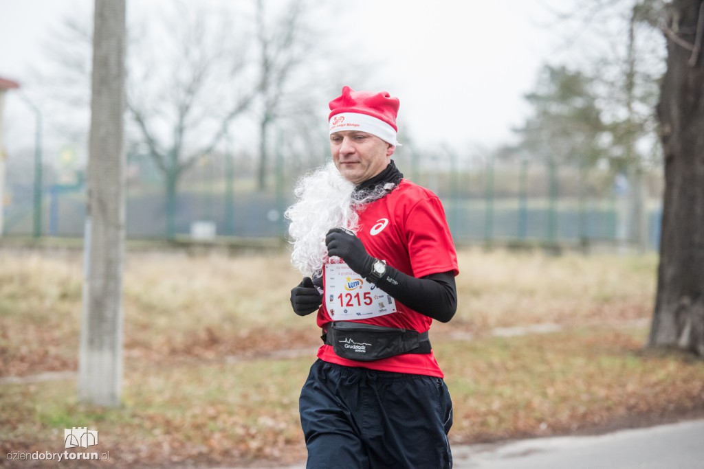 Torunianie na trasie półmaratonu