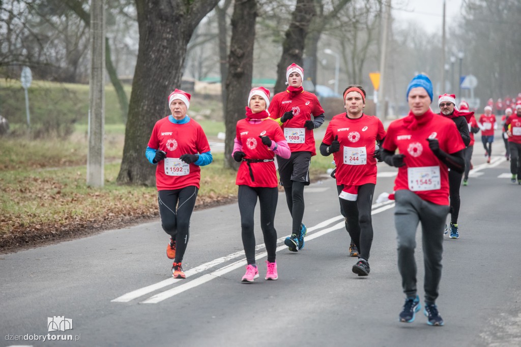 Torunianie na trasie półmaratonu