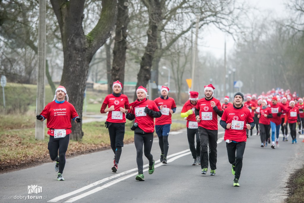 Torunianie na trasie półmaratonu