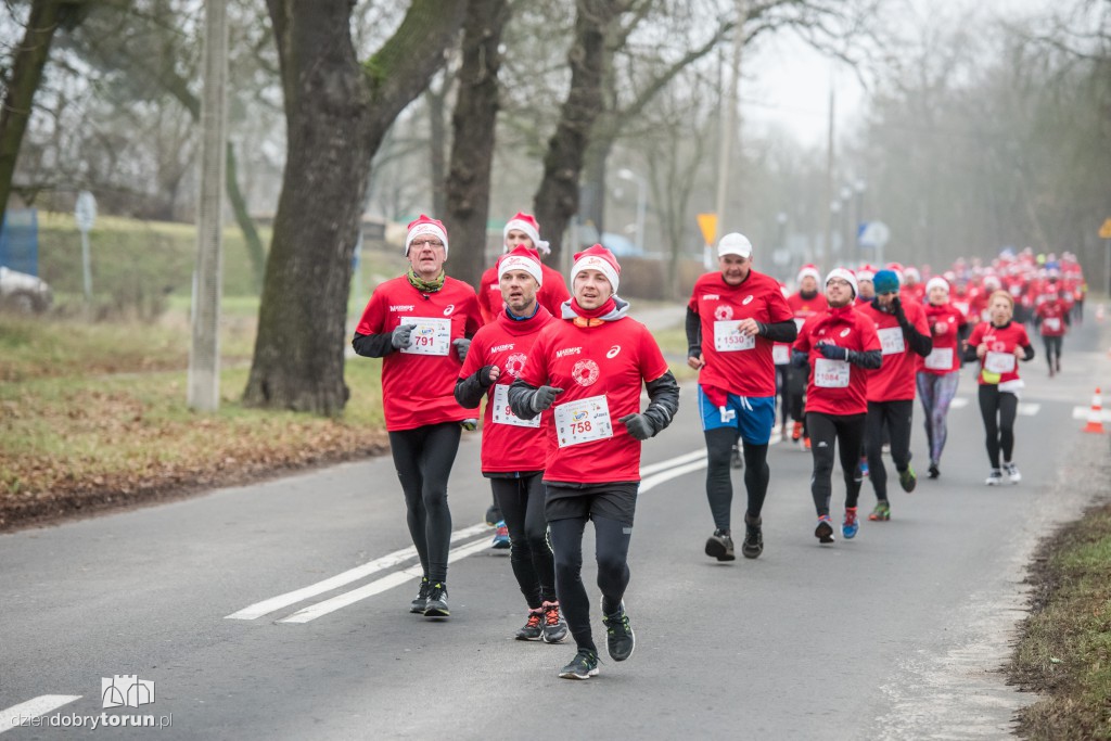 Torunianie na trasie półmaratonu