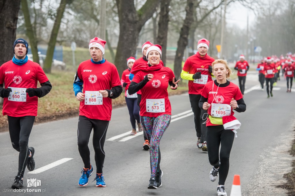 Torunianie na trasie półmaratonu