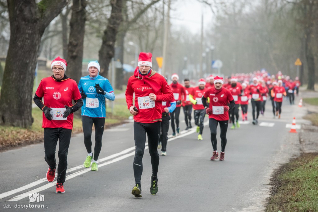 Torunianie na trasie półmaratonu