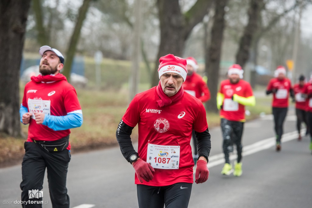 Torunianie na trasie półmaratonu