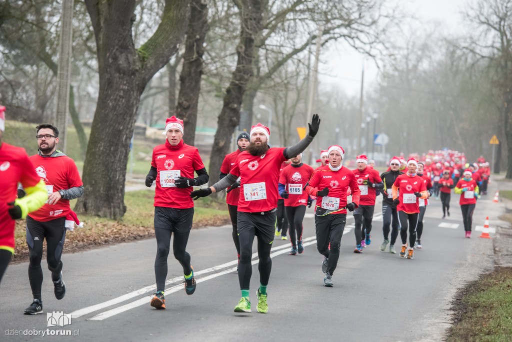 Torunianie na trasie półmaratonu