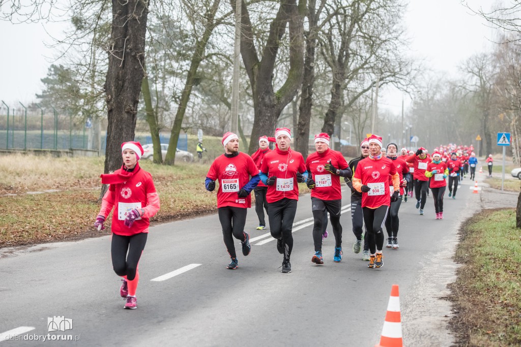 Torunianie na trasie półmaratonu