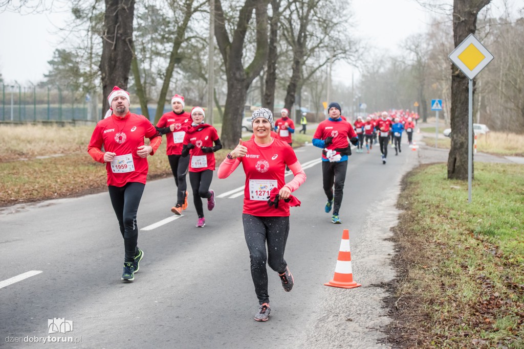 Torunianie na trasie półmaratonu