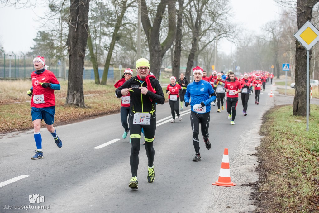Torunianie na trasie półmaratonu