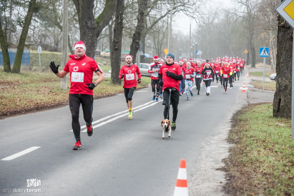 Torunianie na trasie półmaratonu