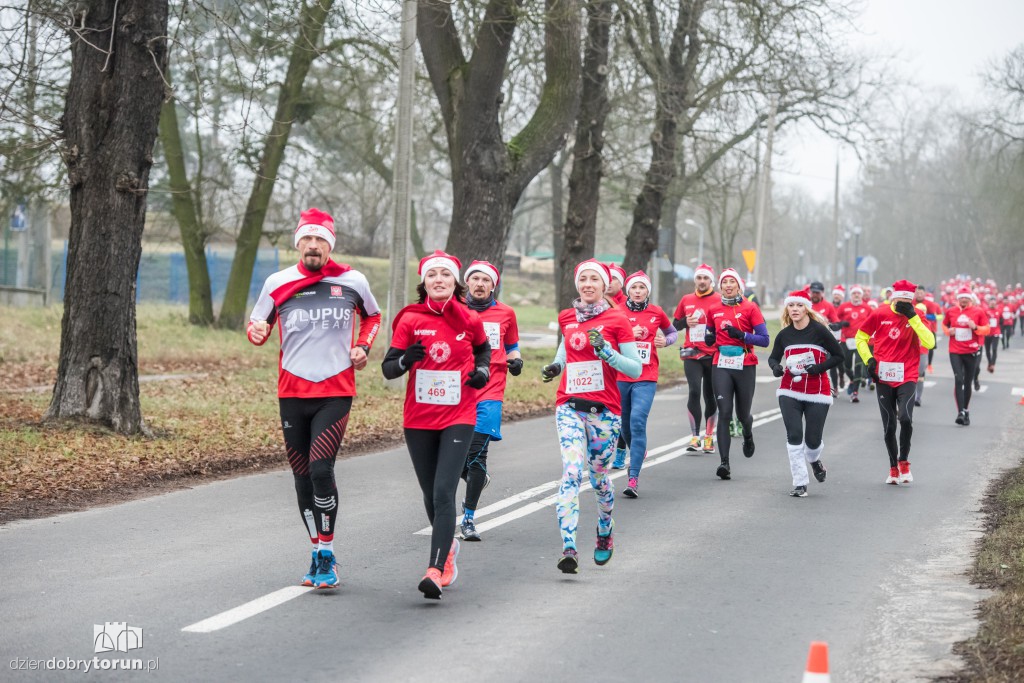 Torunianie na trasie półmaratonu