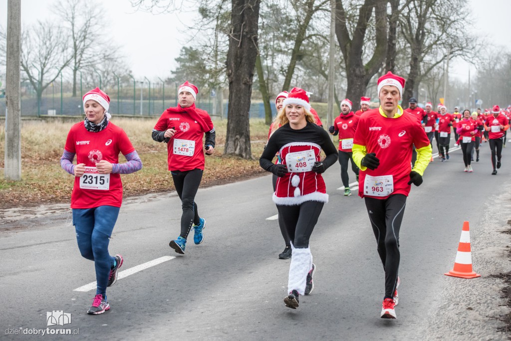 Torunianie na trasie półmaratonu