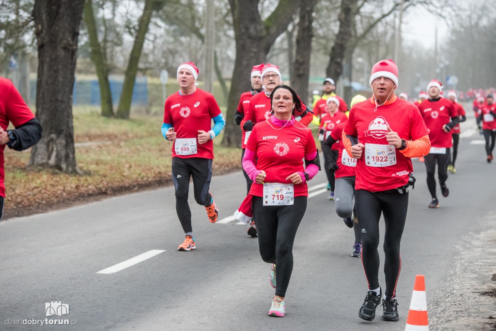 Torunianie na trasie półmaratonu