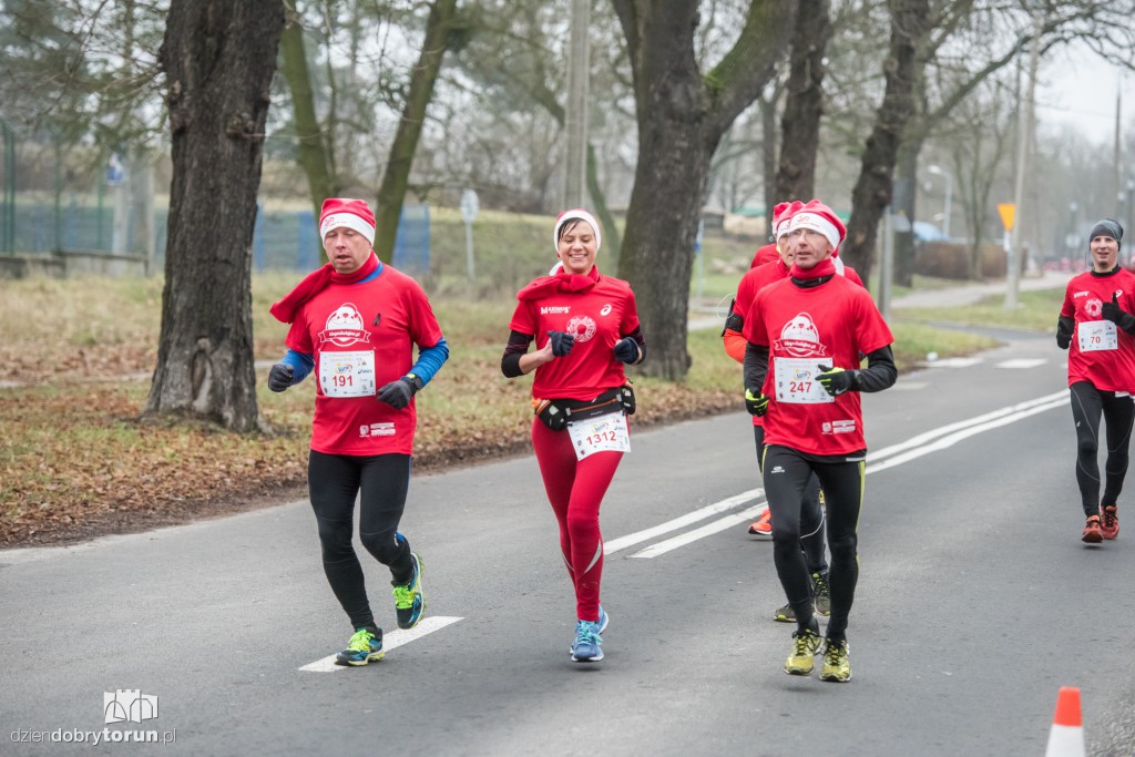 Torunianie na trasie półmaratonu