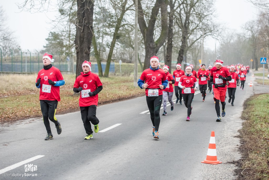 Torunianie na trasie półmaratonu